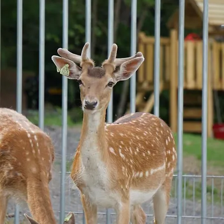 Gites Le Val Des Cerfs Hastiere-par-dela